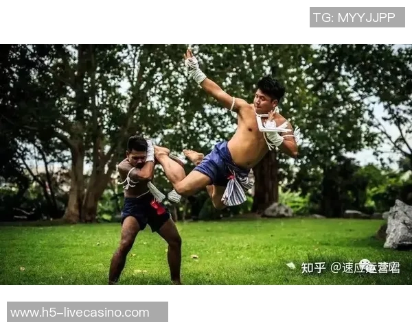 泰拳与拳击的全面对决:技术风格与战术解析之争